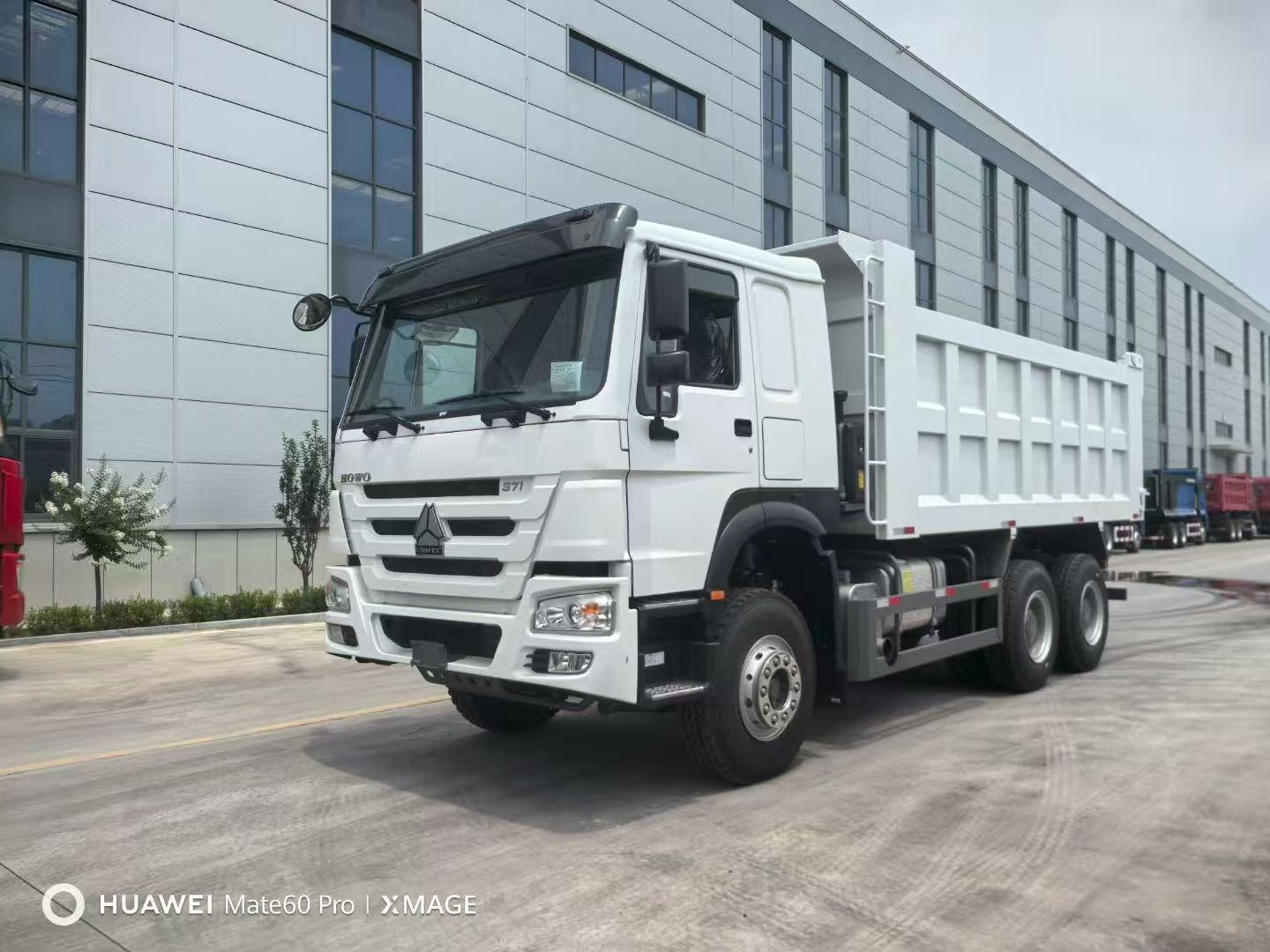 Synotruk Howo ကုန်တင်ကားများ
